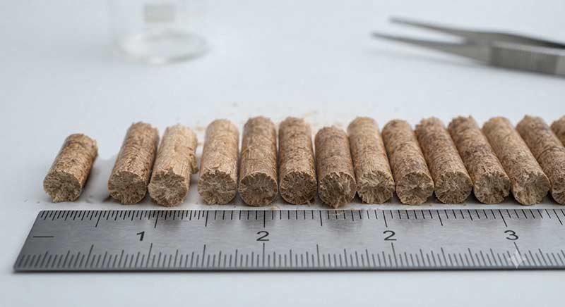 Wood pellets of varying lengths lined up against a ruler